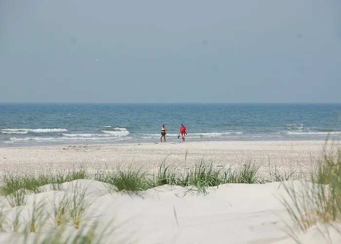Vestermarken Iv Ferienhaus Blåvand
